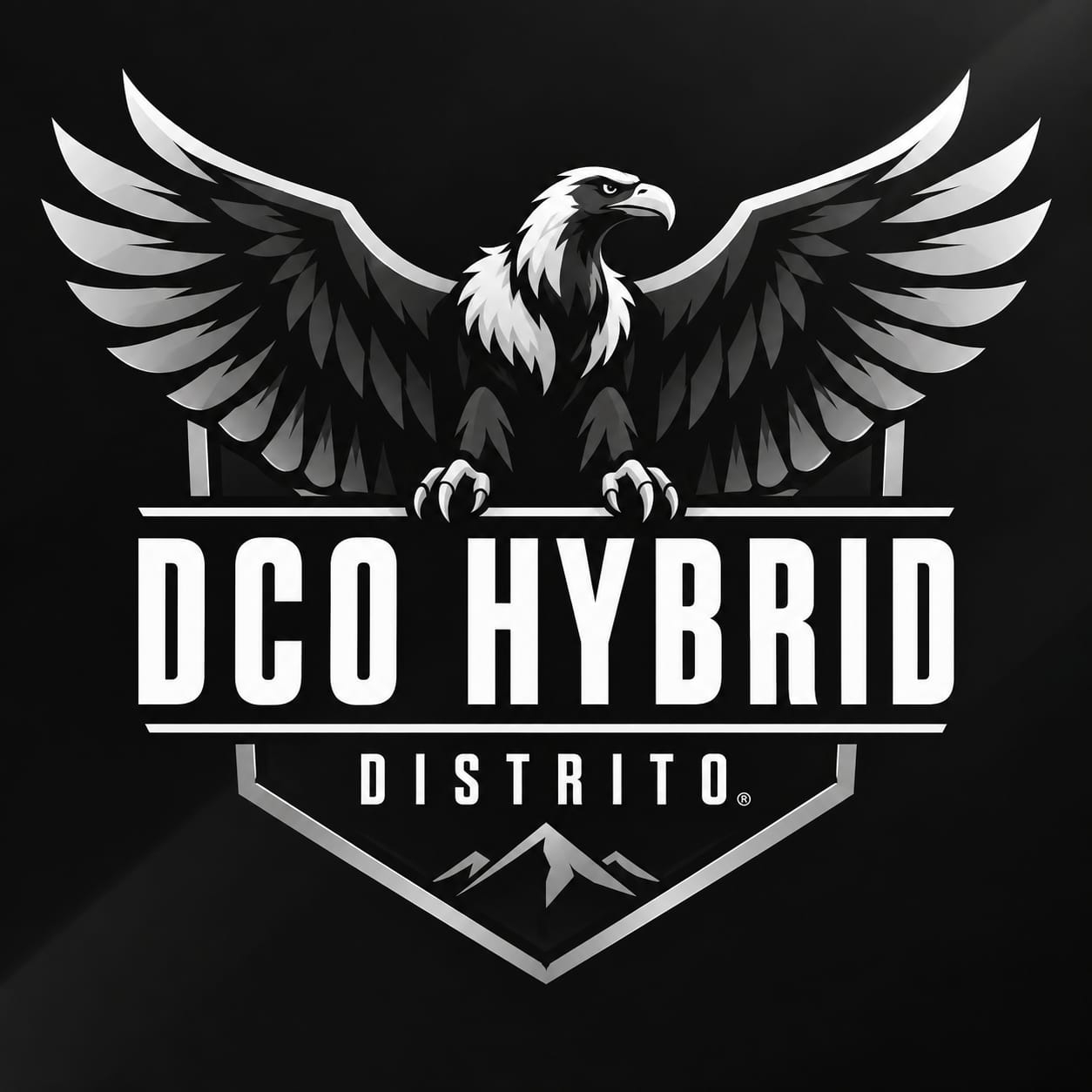 DCO Hybrid Team