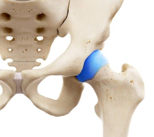 Labrum Team
